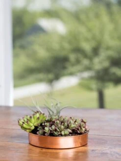 Extra Small Round Copper Plant Tray, 8" -Garden Pot Planter Sales Store 8593528 4521 tif