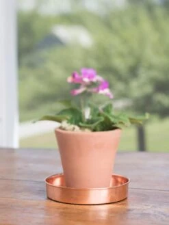 Extra Small Round Copper Plant Tray, 8" -Garden Pot Planter Sales Store 8593528 4522 tif