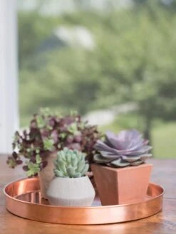 Large Round Copper Plant Tray, 14" 13 Large Round Copper Plant Tray, 14" -Garden Pot Planter Sales Store 8593531 4518 tif