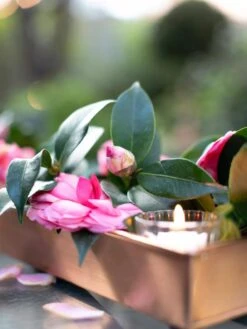 Rectangular Copper Plant Tray, 18"x4" -Garden Pot Planter Sales Store 8593532 02IN tif