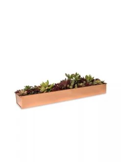 Rectangular Copper Plant Tray, 18"x4" -Garden Pot Planter Sales Store 8593532 2892 tif