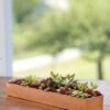 Rectangular Copper Plant Tray, 18"x4" 1 Rectangular Copper Plant Tray, 18"x4" -Garden Pot Planter Sales Store 8593532 4632 tif