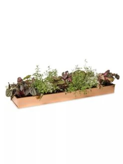 Rectangular Copper Plant Tray, 24" X 5" -Garden Pot Planter Sales Store 8593533 2878 tif