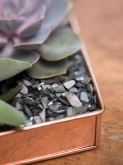 Rectangular Copper Plant Tray, 24" X 5" -Garden Pot Planter Sales Store 8593533 4570 tif