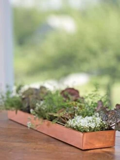 Rectangular Copper Plant Tray, 24" X 5" -Garden Pot Planter Sales Store 8593533 4626 tif