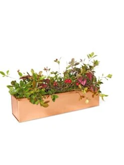 Tall Rectangular Copper Plant Tray, 18" X 5" X 4" 10 Tall Rectangular Copper Plant Tray, 18" X 5" X 4" -Garden Pot Planter Sales Store 8593534 2899 tif