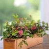 Tall Rectangular Copper Plant Tray, 18" X 5" X 4" 1 Tall Rectangular Copper Plant Tray, 18" X 5" X 4" -Garden Pot Planter Sales Store 8593534 4617 tif