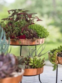 Small Round Copper Plant Tray, 10" 8 Small Round Copper Plant Tray, 10" -Garden Pot Planter Sales Store 8593564 4399 tif