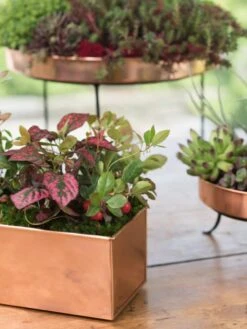 Tall Rectangular Copper Plant Tray, 18" X 5" X 4" 8 Tall Rectangular Copper Plant Tray, 18" X 5" X 4" -Garden Pot Planter Sales Store 8593564 4430 tif