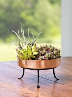 Extra Small Round Copper Plant Tray, 8" -Garden Pot Planter Sales Store 8593564 4641 001E tif