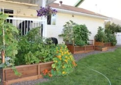 OLT Raised Cedar Garden Bed, 3' X 6' 11 OLT Raised Cedar Garden Bed, 3' X 6' -Garden Pot Planter Sales Store 8594002 03V tif