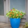 Viva Round Self-Watering Rolling Planter, 17.25” Diameter -Garden Pot Planter Sales Store 8594077 0087 tif