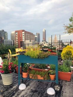 Demeter Mobile Planter Cart -Garden Pot Planter Sales Store 8594148 01CUST tif