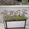 Short Galvanized Self-Watering Trough Planter 1 Short Galvanized Self-Watering Trough Planter -Garden Pot Planter Sales Store 8594329 5064 tif