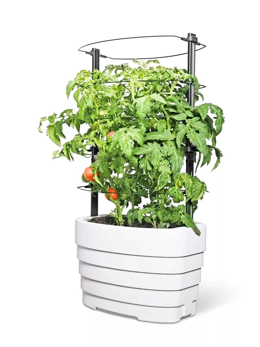 Gardener's Revolution® Classic Tomato Extension 4 Gardener's Revolution® Classic Tomato Extension - Image 2