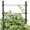 Gardener's Revolution® Classic Tomato Extension 1 Gardener's Revolution® Classic Tomato Extension -Garden Pot Planter Sales Store 8594367 0047 001E gardeners revolution classic tomato cage extension tif