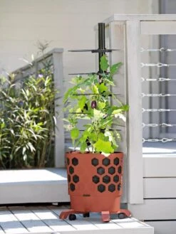 Gardener's Revolution® Tomato Planter 9 Gardener's Revolution® Tomato Planter -Garden Pot Planter Sales Store 8594743 2618 tif
