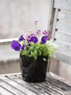 Viva Round Self-Watering Planter, 7" Diameter 11 Viva Round Self-Watering Planter, 7" Diameter -Garden Pot Planter Sales Store 8595222 1140 tif