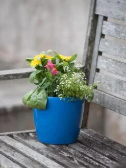 Viva Round Self-Watering Planter, 7" Diameter 9 Viva Round Self-Watering Planter, 7" Diameter -Garden Pot Planter Sales Store 8595222 1143 tif