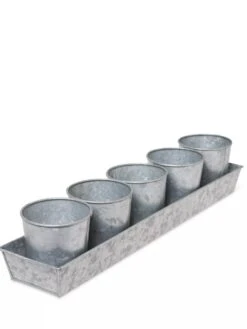 Galvanized Herb Planters With Rectangular Tray 9 Galvanized Herb Planters With Rectangular Tray -Garden Pot Planter Sales Store 8595903 3924 tif
