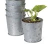 Galvanized Planting Cups, Set Of 5 -Garden Pot Planter Sales Store 8596104 9899 tif