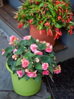 Eezy Gro Self-Watering Planters -Garden Pot Planter Sales Store 8596427 0034 tif