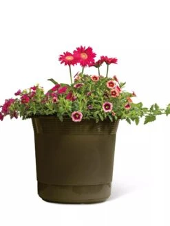 Eezy Gro Self-Watering Planters -Garden Pot Planter Sales Store 8596427 108 tif