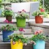 Eezy Gro Self-Watering Planters -Garden Pot Planter Sales Store 8596427 5498 tif