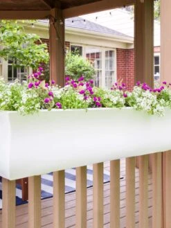 Valencia Window Box, 4' 11 Valencia Window Box, 4' -Garden Pot Planter Sales Store 8596437 006V tif