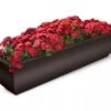 Valencia Window Box, 4' 2 Valencia Window Box, 4' -Garden Pot Planter Sales Store 8596437 10V tif