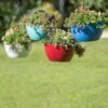 Viva Self-Watering Hanging Basket, 14" Diameter -Garden Pot Planter Sales Store 8596442 0851 tif