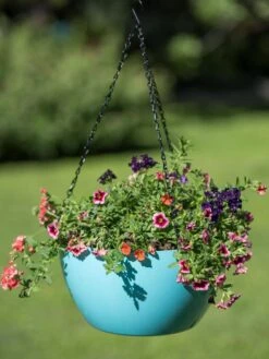 Viva Self-Watering Hanging Basket, 14" Diameter -Garden Pot Planter Sales Store 8596442 0859 tif