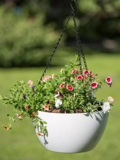 Viva Self-Watering Hanging Basket, 14" Diameter -Garden Pot Planter Sales Store 8596442 0864 tif