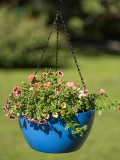 Viva Self-Watering Hanging Basket, 14" Diameter -Garden Pot Planter Sales Store 8596442 0876 tif
