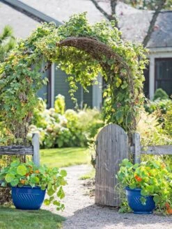 Mazzano Self-Watering Planters -Garden Pot Planter Sales Store 8596570 10231 tif