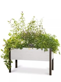 Eco-Stained Elevated Planter Box, 2'x4' -Garden Pot Planter Sales Store 8596759 3837 tif