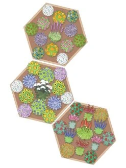 Pollinator Garden Bed -Garden Pot Planter Sales Store 8597000 Hummingbird Plan tif