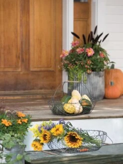 Galvanized Rim Planters -Garden Pot Planter Sales Store 8597379 1625 tif