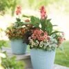 Weave Self-Watering Round Planter, 14" 2 Weave Self-Watering Round Planter, 14" -Garden Pot Planter Sales Store 8597388 2165 tif