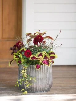 Galvanized Ribbed Planters 8 Galvanized Ribbed Planters -Garden Pot Planter Sales Store 8597435 1693 tif