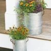Galvanized Rim Planters 1 Galvanized Rim Planters -Garden Pot Planter Sales Store 8597442 1700 tif