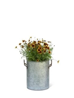 Galvanized Rim Planters -Garden Pot Planter Sales Store 8597442 1705 tif