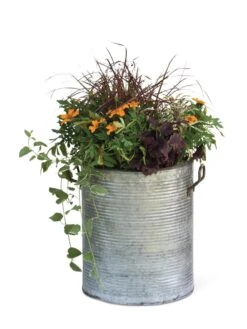 Galvanized Rim Planters -Garden Pot Planter Sales Store 8597443 1704 tif