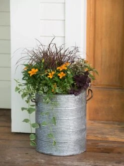 Galvanized Rim Planters -Garden Pot Planter Sales Store 8597443 1708 tif