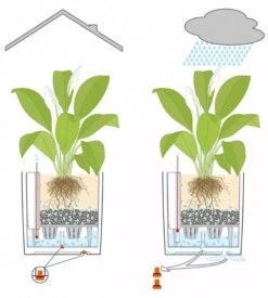 Lechuza® Cube Premium Planters 11 Lechuza® Cube Premium Planters -Garden Pot Planter Sales Store 8597506 05V tif