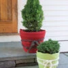 GardenWool® Cord -Garden Pot Planter Sales Store 8597523 1811 1 garden wool cord