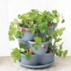 Stacking Strawberry Pot -Garden Pot Planter Sales Store 8597996 9004 tif