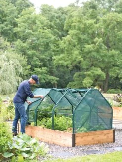 3-Season Plant Protection Tent, 4' X 8' -Garden Pot Planter Sales Store 8598282 0101 tif