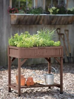 VegTrug® Herb Planter Box 12 VegTrug® Herb Planter Box -Garden Pot Planter Sales Store 8598287 00037 tif