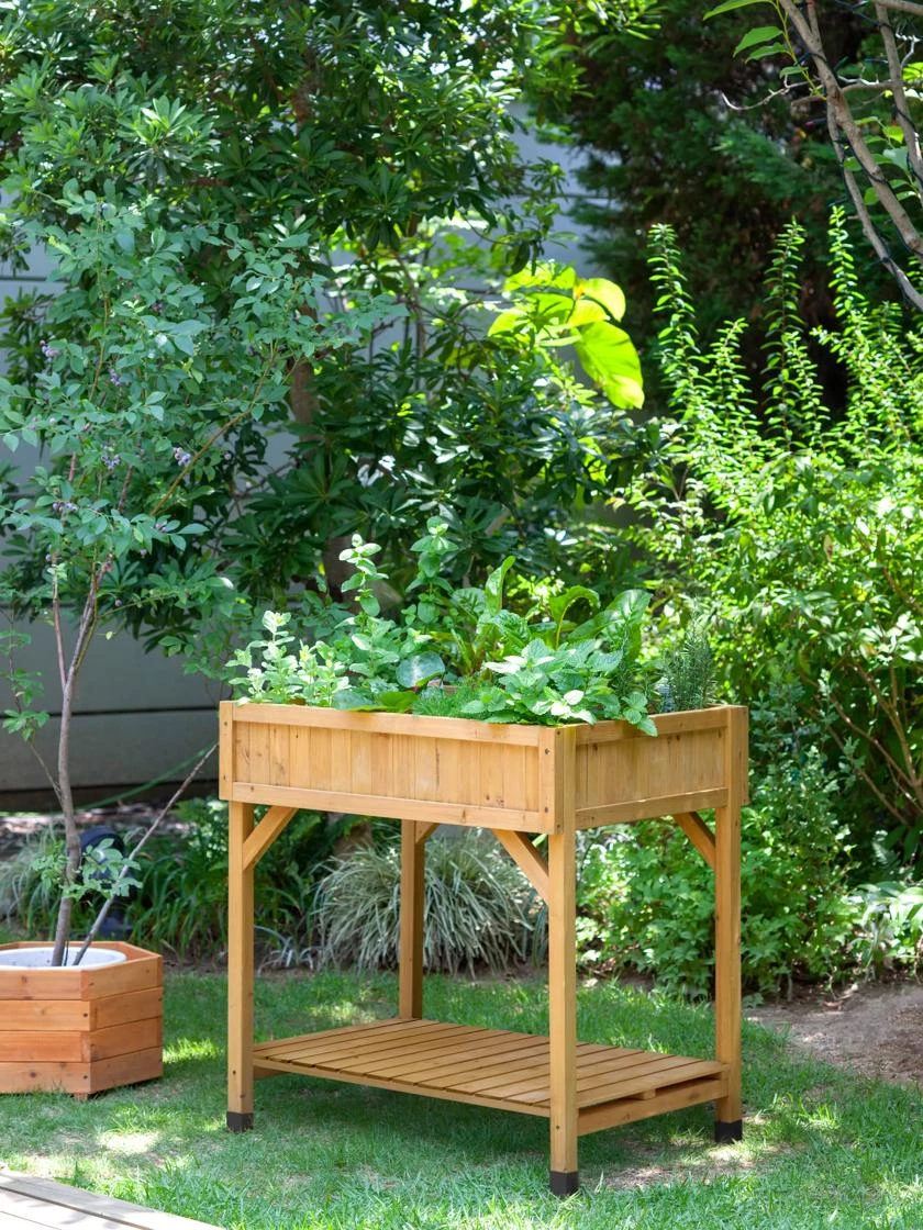 VegTrug® Herb Planter Box 8 VegTrug® Herb Planter Box - Image 6